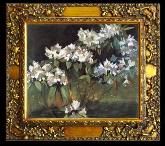 framed  William Stott of Oldham White Rhododendrons, Ta068